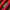 2024-25 AC Milan 1a Equipacion
