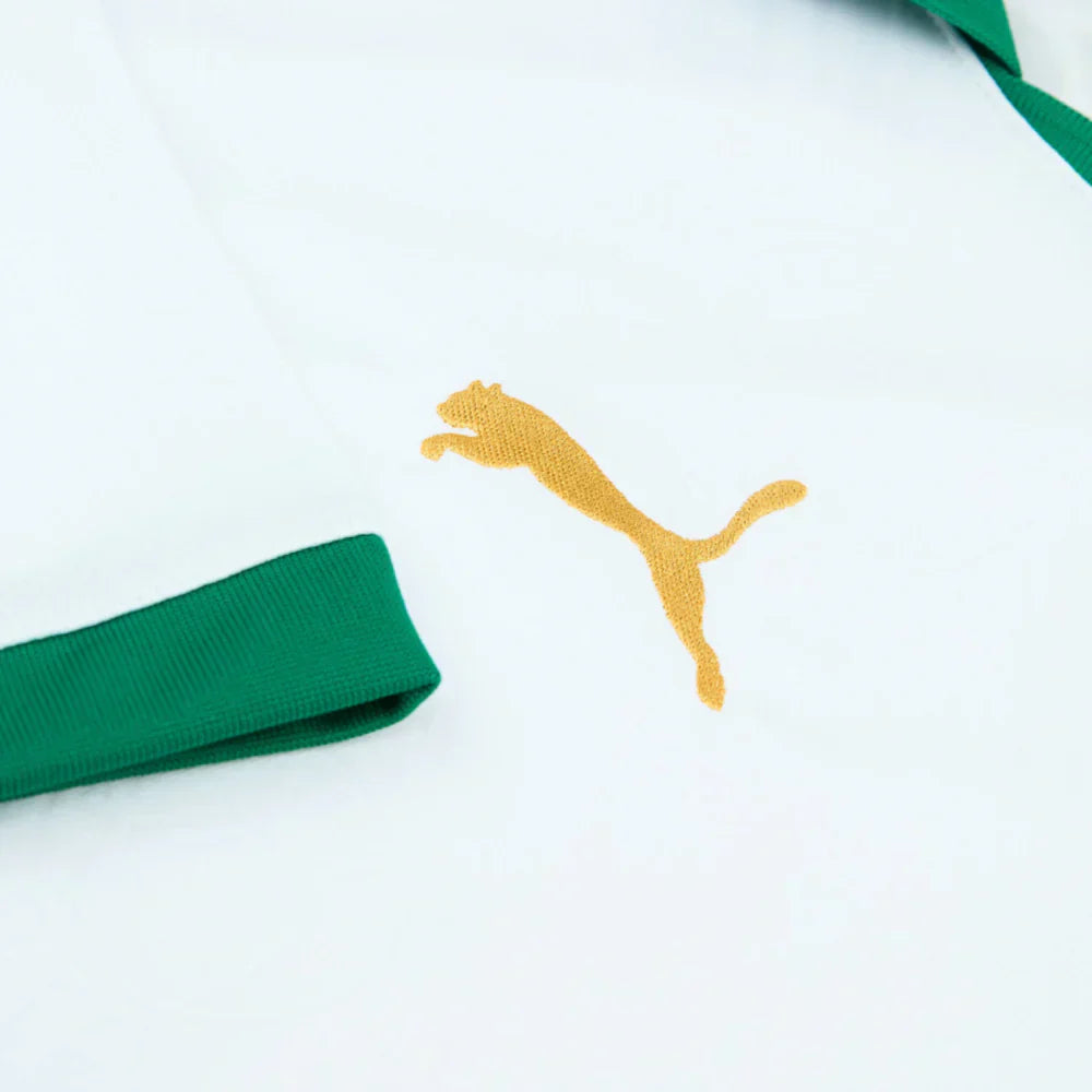 2024-25 SE Palmeiras 2a Equipacion