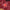 2025-26 Galatasaray SK 3a Equipacion