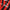 2024-25 AC Milan 1a Equipacion Manga Larga
