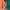 2025-26 Venezia FC 3a Equipacion